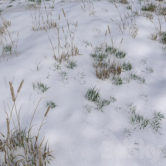 The grass under the snow 3D Model