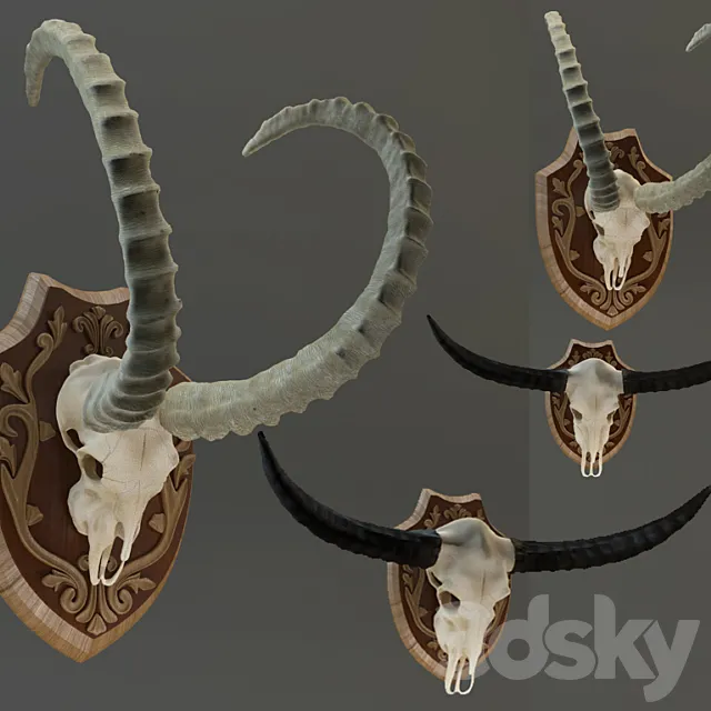The Horn Of Africa 3D Model
