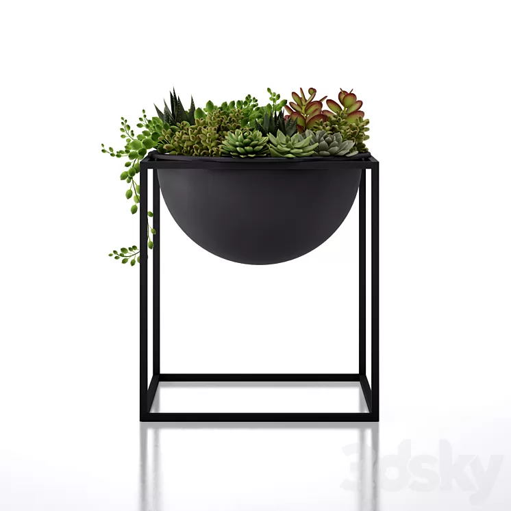 The Kubus Bowl 3D Model