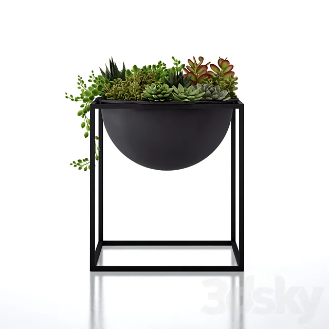 The Kubus Bowl 3DModel