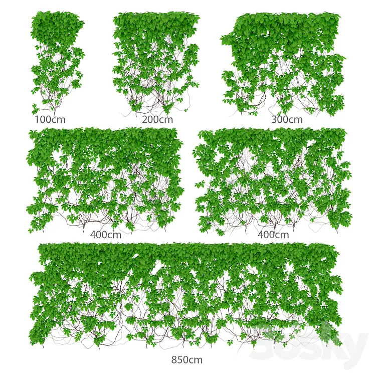 The leaves are a girl's grapes. 6 sizes 3D Model