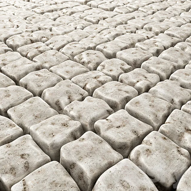 The old square pavers 3D Model