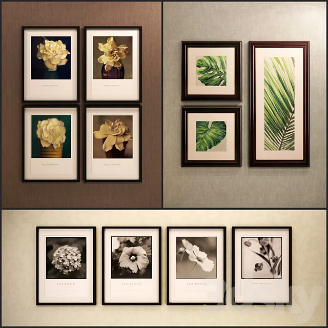 The picture in the frame: 11 Pieces (Collection 13) Flowers 3DModel