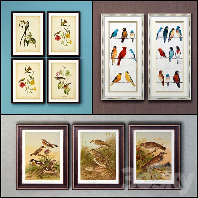 The picture in the frame: 17 pieces (collection 63) Birds 3D Model