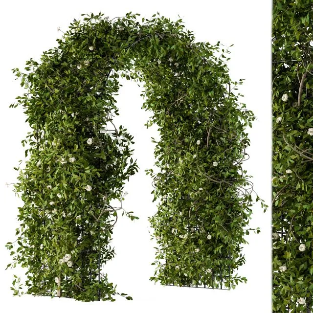 The Plants Pergola 3D Model