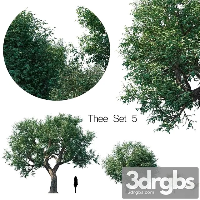 Thee Set 5 3D Model Free