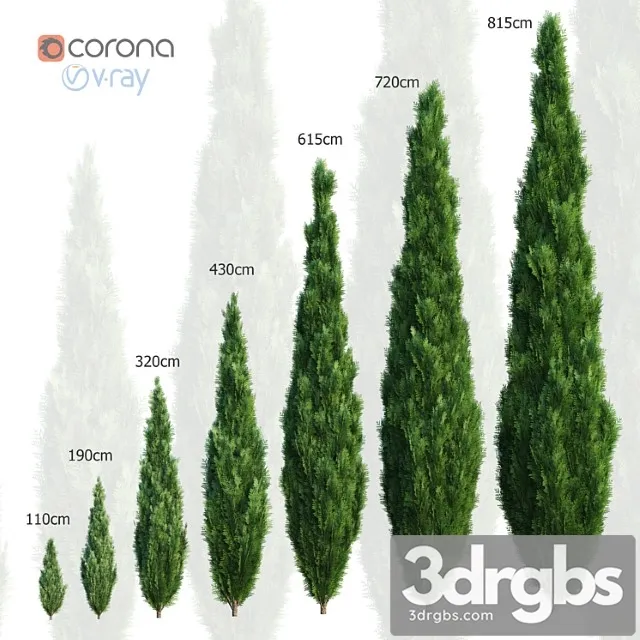 Thuya Set of 7 Models 3D Model Free