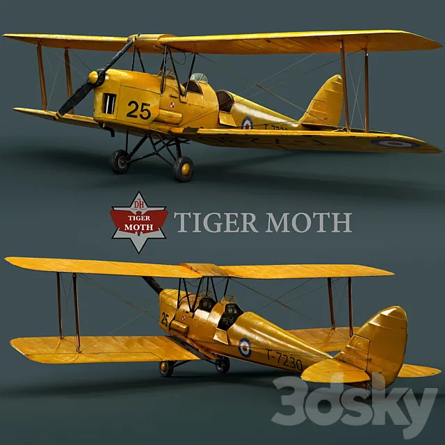 Tiger moth 3D Model