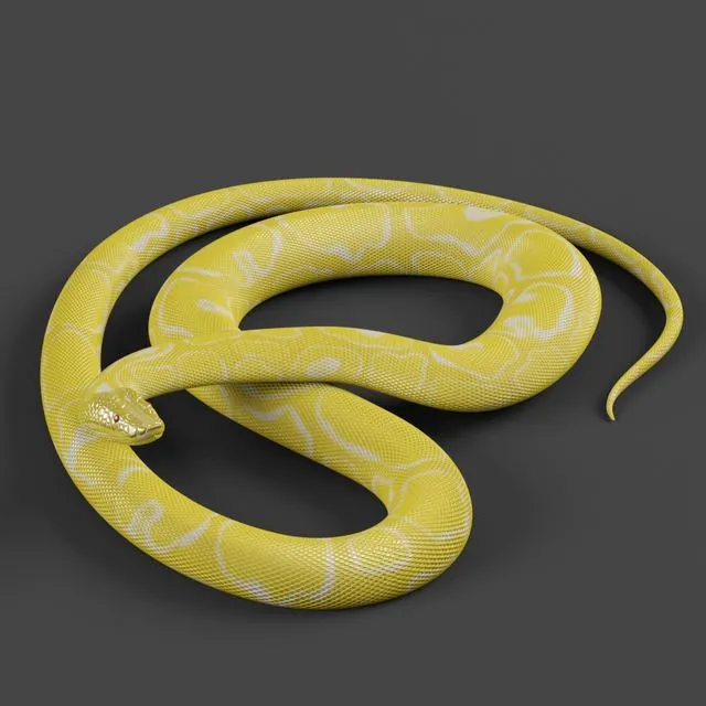 Tiger python 3D Model