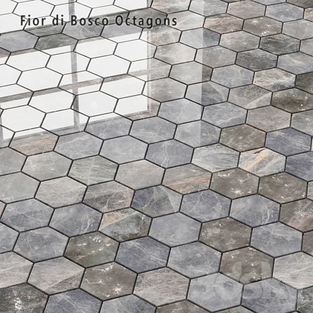Tile Sicis SiciStone Fior di Bosco Exagon 3D Model