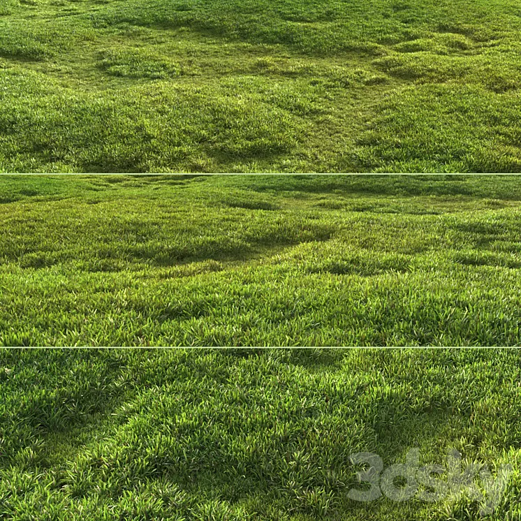 Tileable grass 3D Model