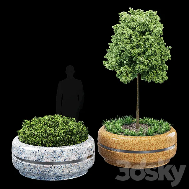 Timeless 1620 3D Model