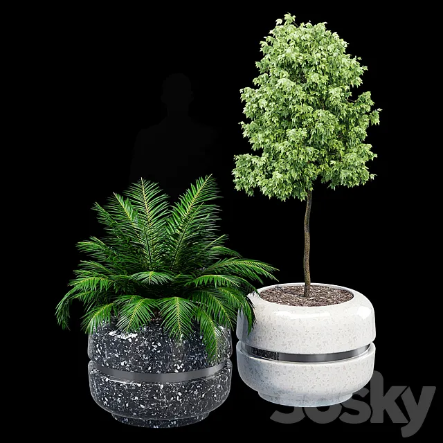 Timeless 820 3D Model