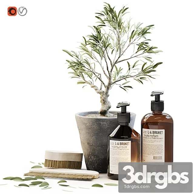 Tiny Bonsai Olive Tree in Stone Pot with Decor Set for Bathroom 3D Model Free