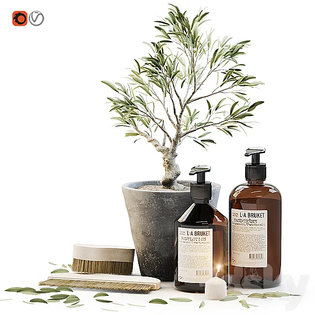 Tiny bonsai olive tree in stone pot with decor set for bathroom 3D Model