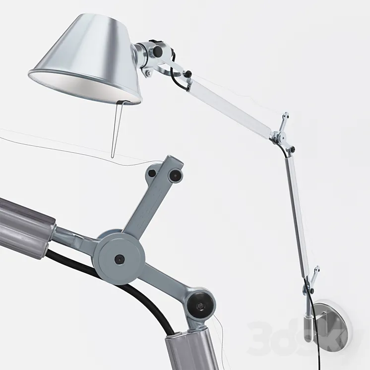 tolomeo 3D Model Free