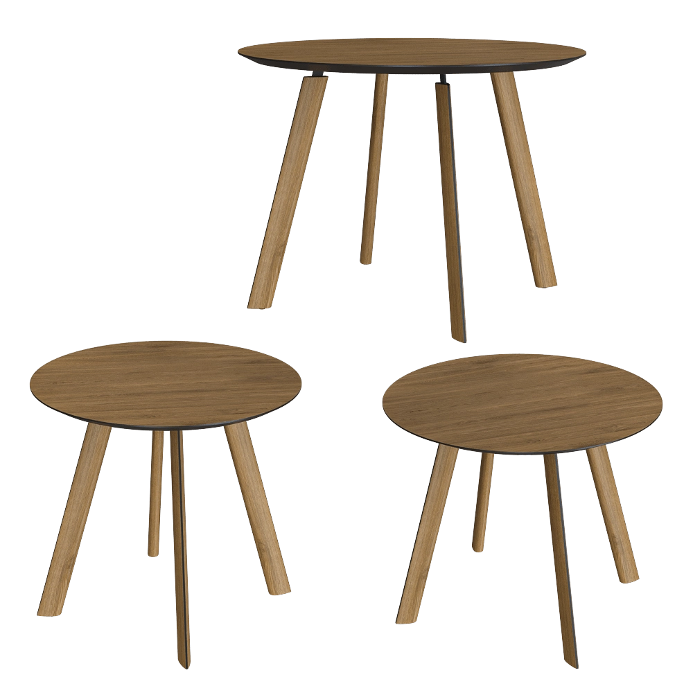 Tony Roaks - Dining table Brasko 3D Model