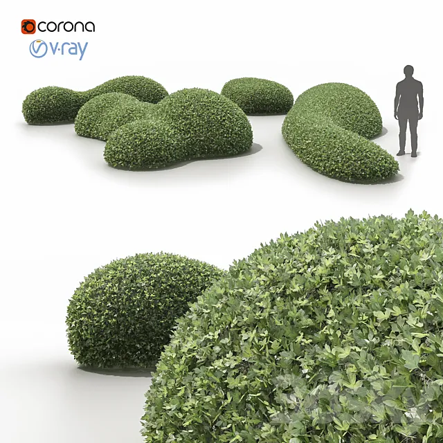 Topiary bushes _ Topiary bushes Free Download