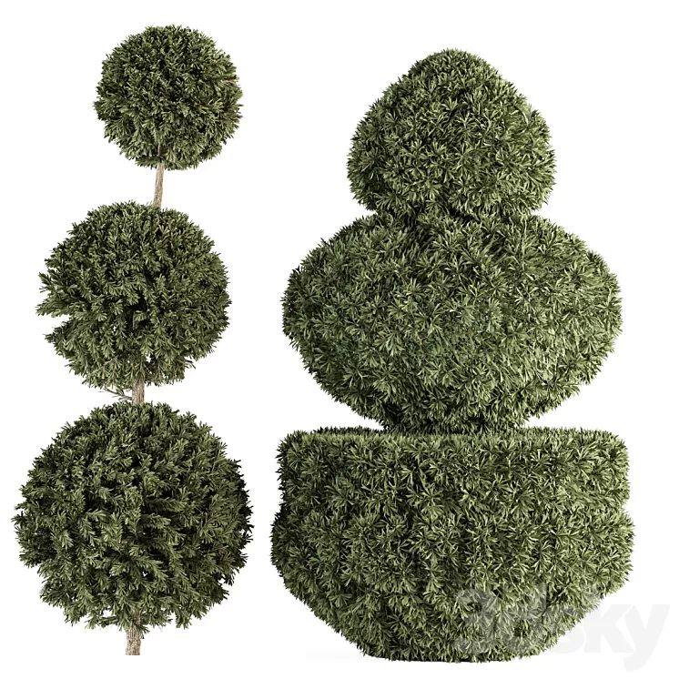 Topiary shape Bush - Bush Set 65 3D Model Free