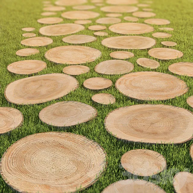 Track of the carcass 3DModel