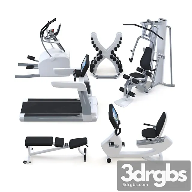 Trainers 3D Model Free