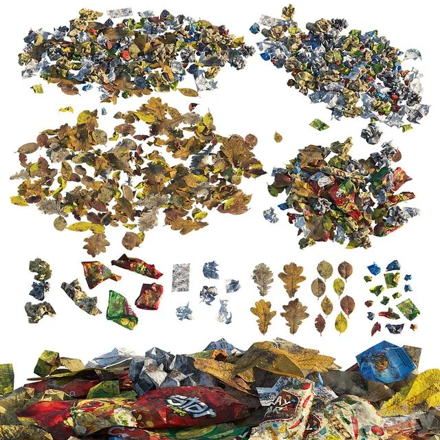Trash of paper and leaves 3D Model