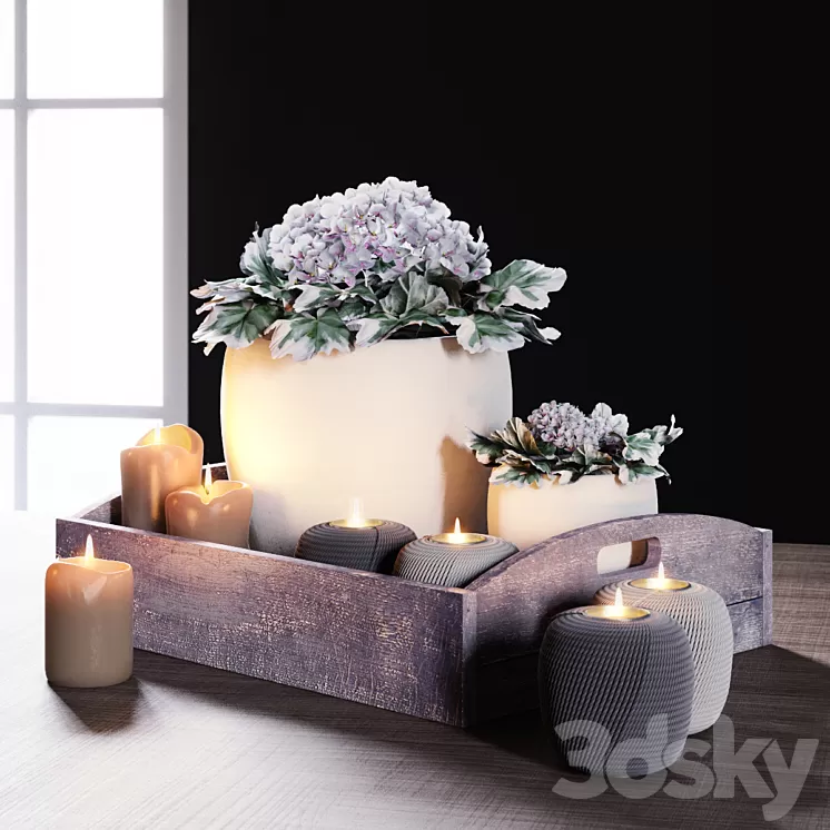 Tray 3D Model
