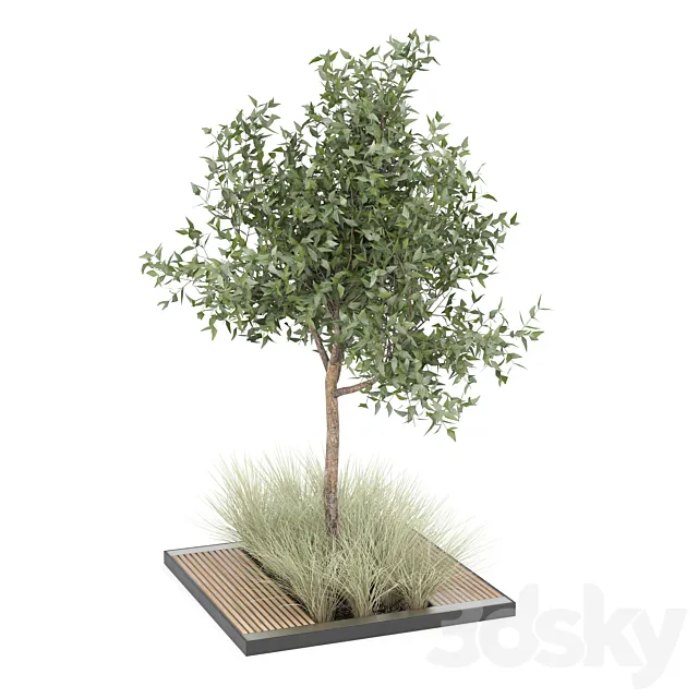 tree 3D Model