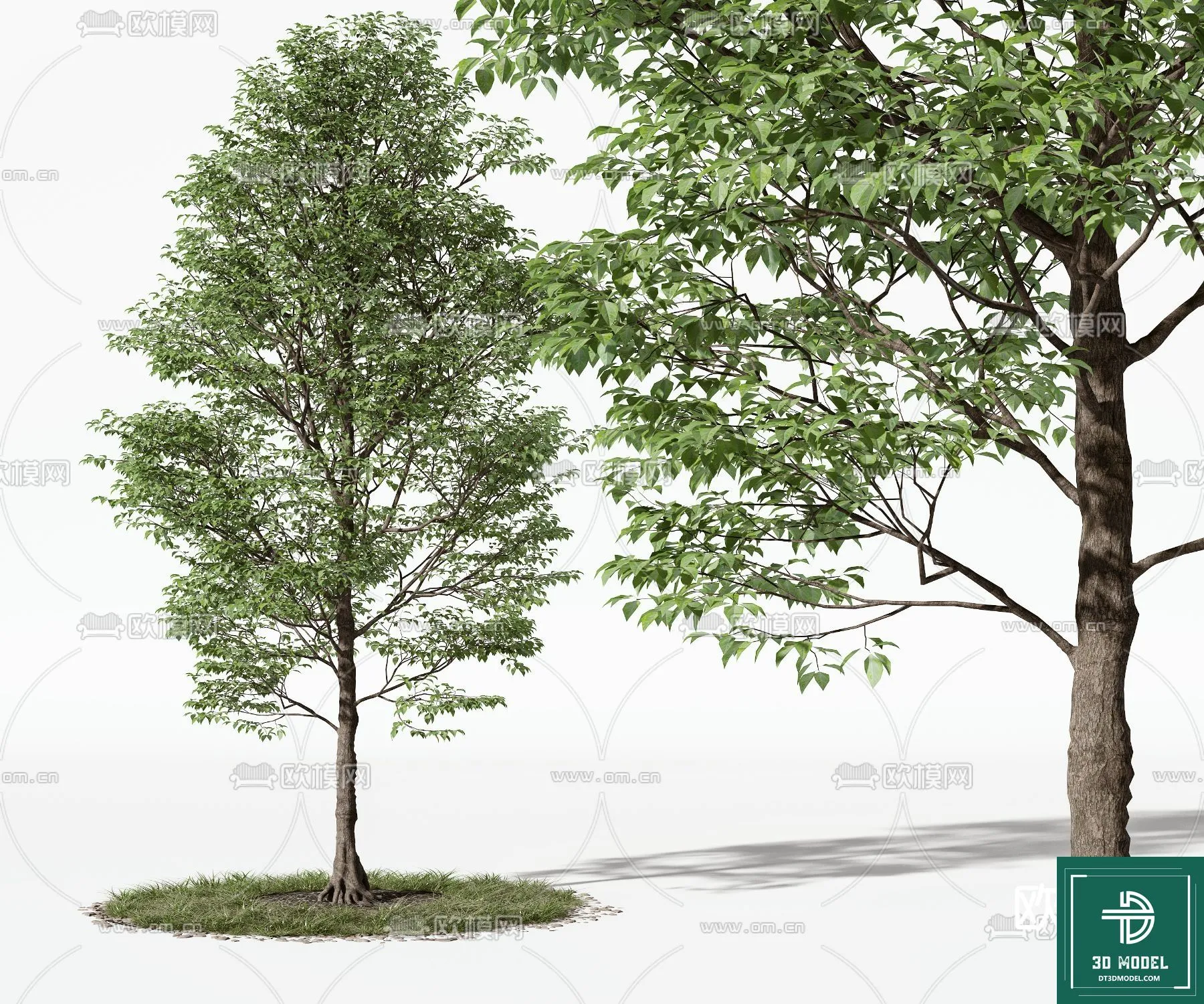 Tree 3D Models - Exterior and Architecture 3DS Max - 001