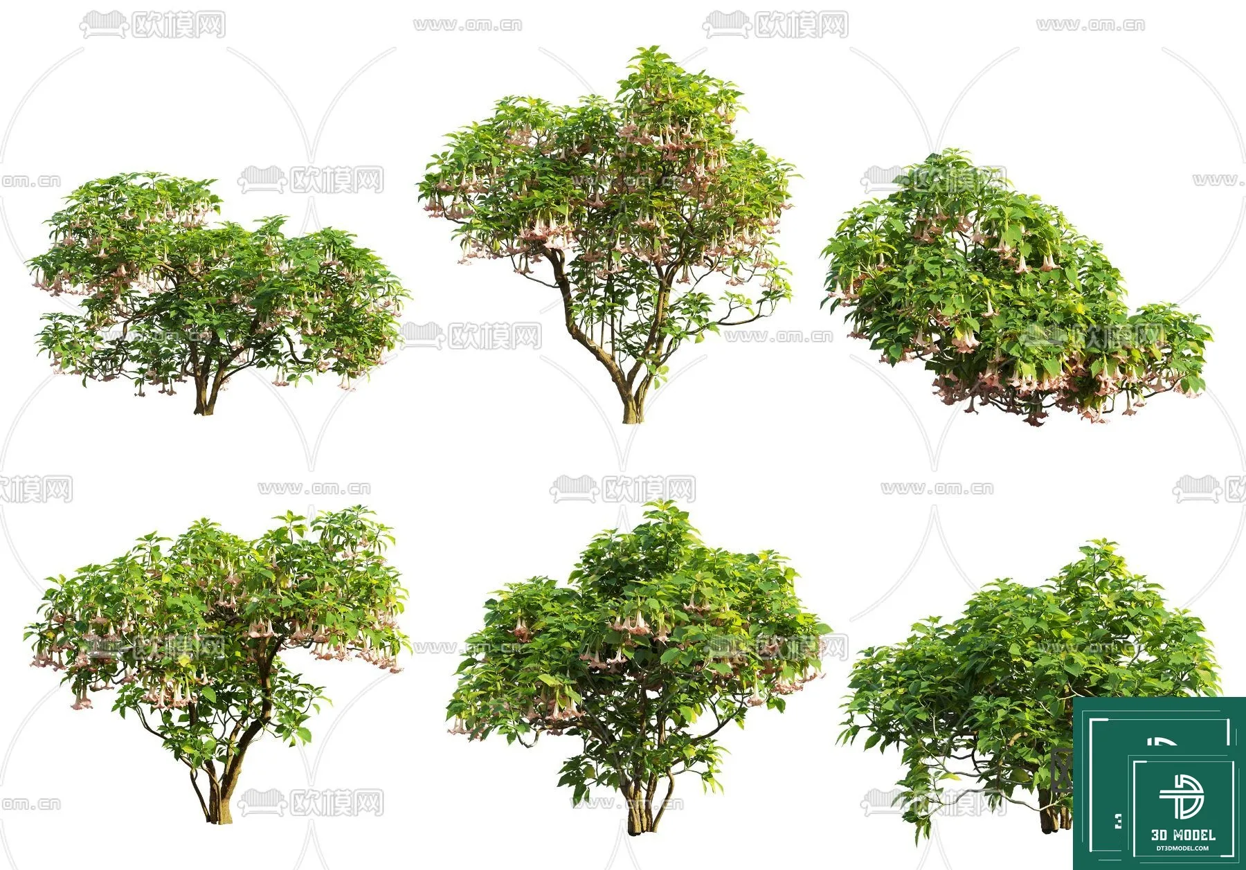 Tree 3D Models - Exterior and Architecture 3DS Max - 005