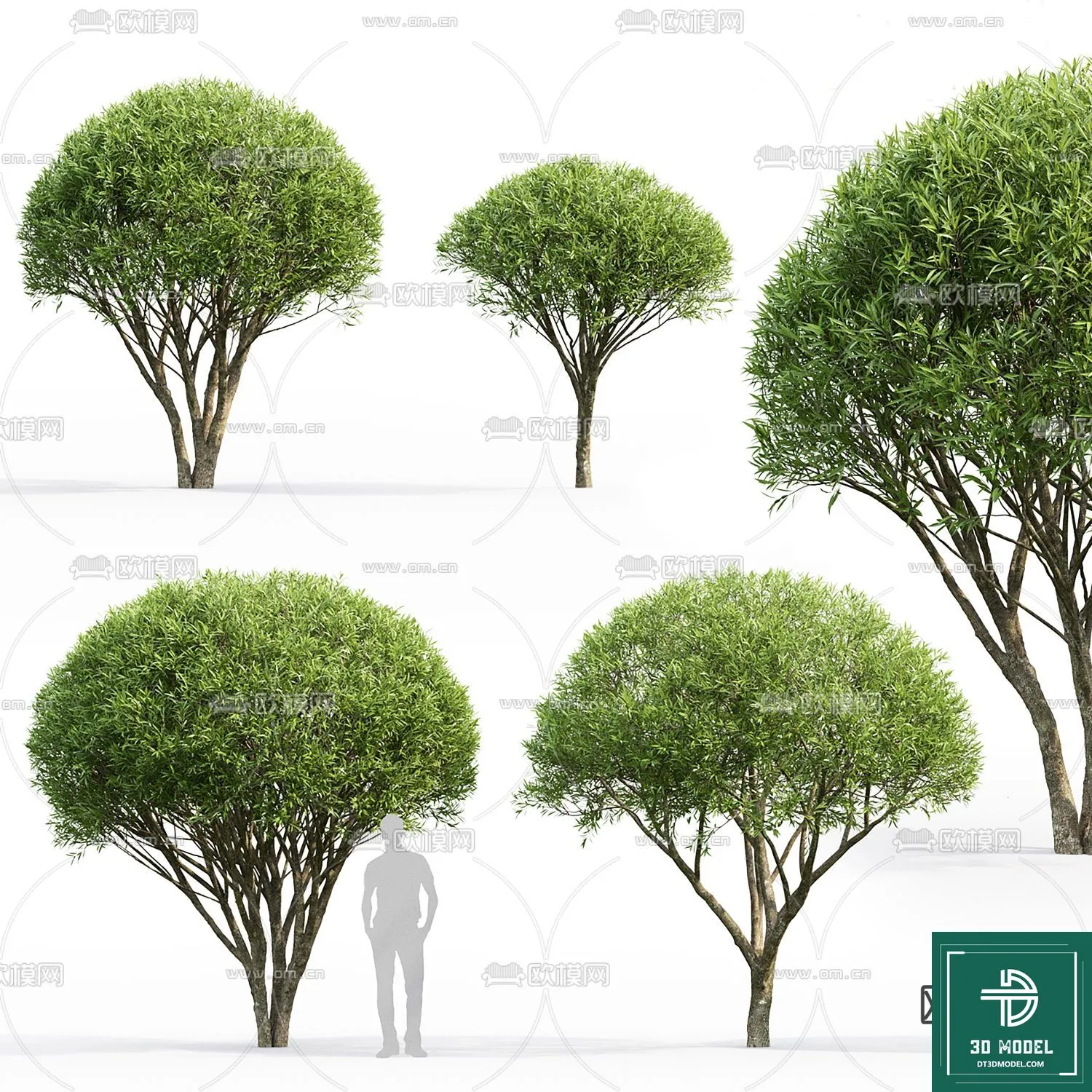 Tree 3D Models - Exterior and Architecture 3DS Max - 006