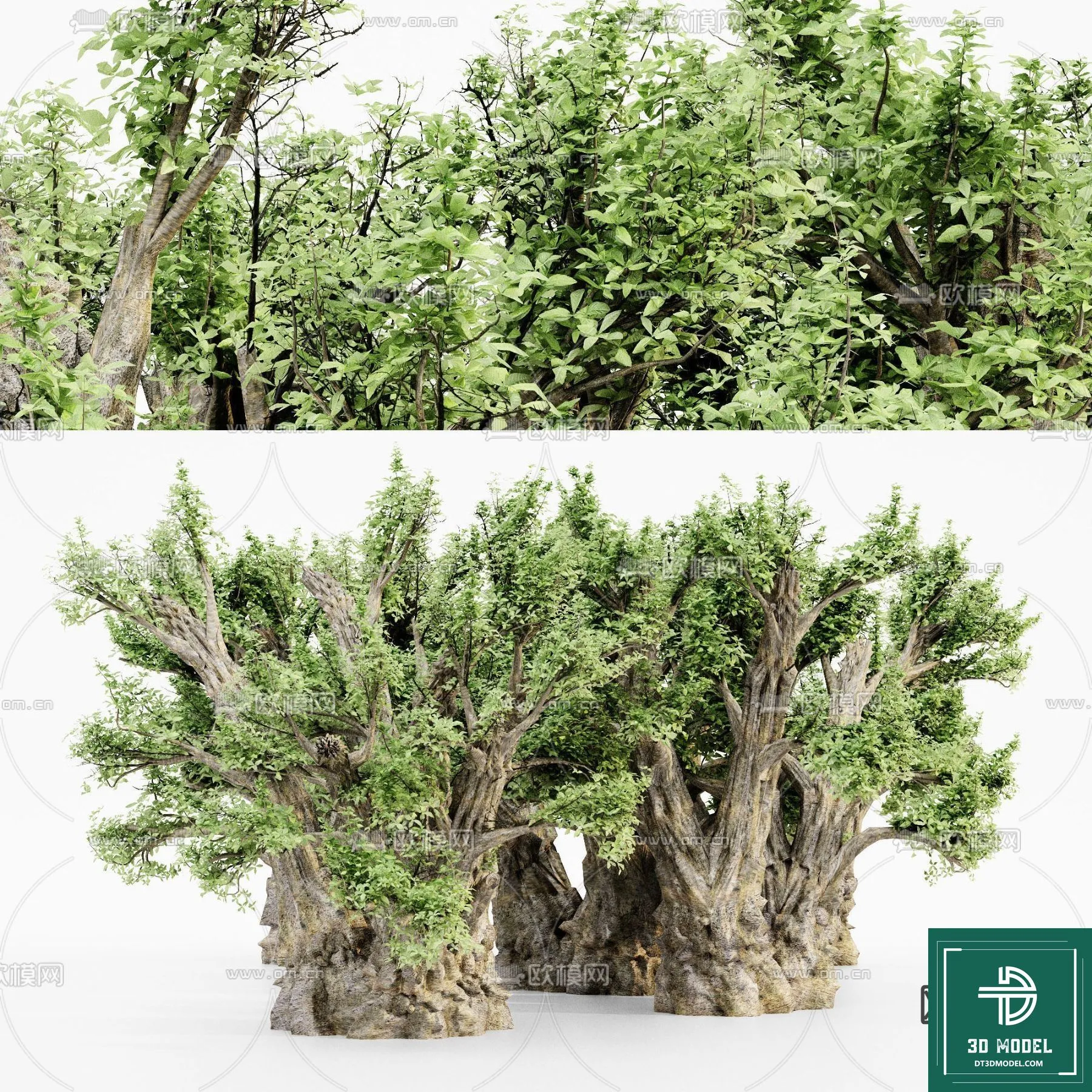Tree 3D Models - Exterior and Architecture 3DS Max - 018