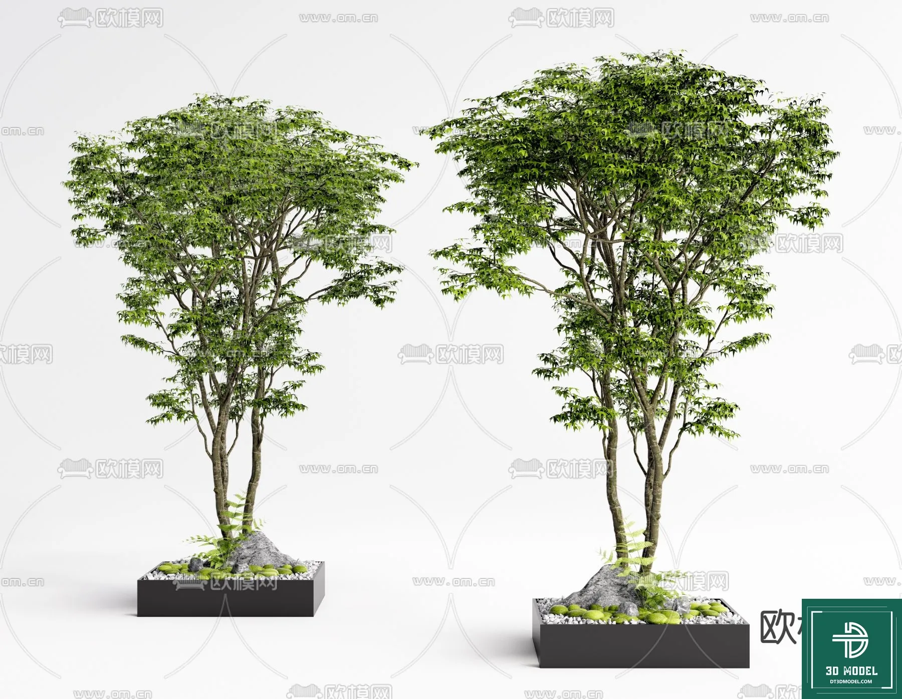 Tree 3D Models - Exterior and Architecture 3DS Max - 029