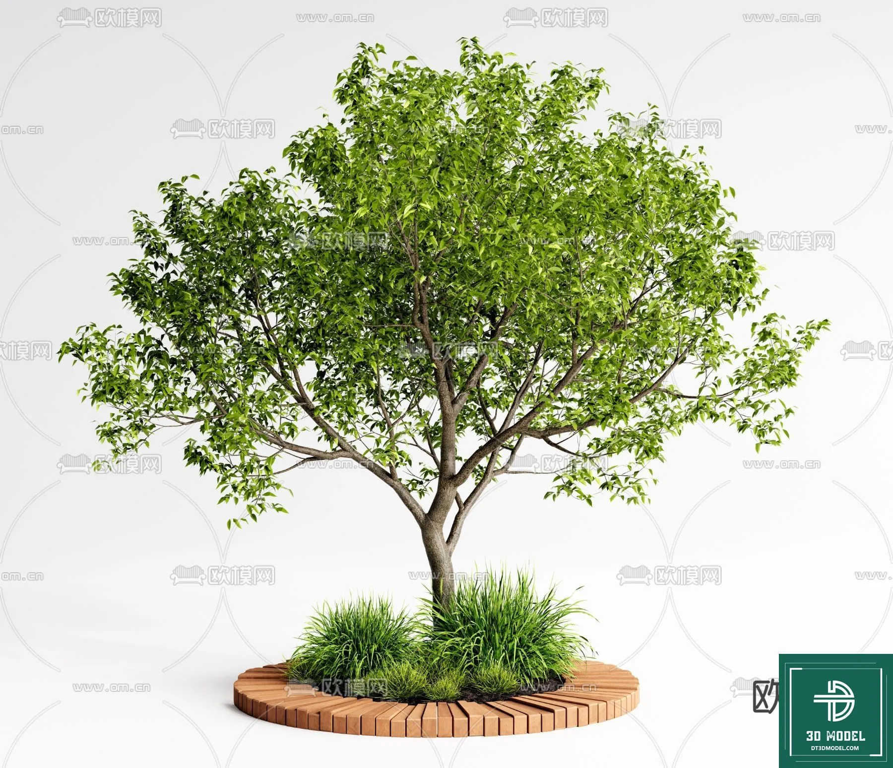 Tree 3D Models - Exterior and Architecture 3DS Max - 030