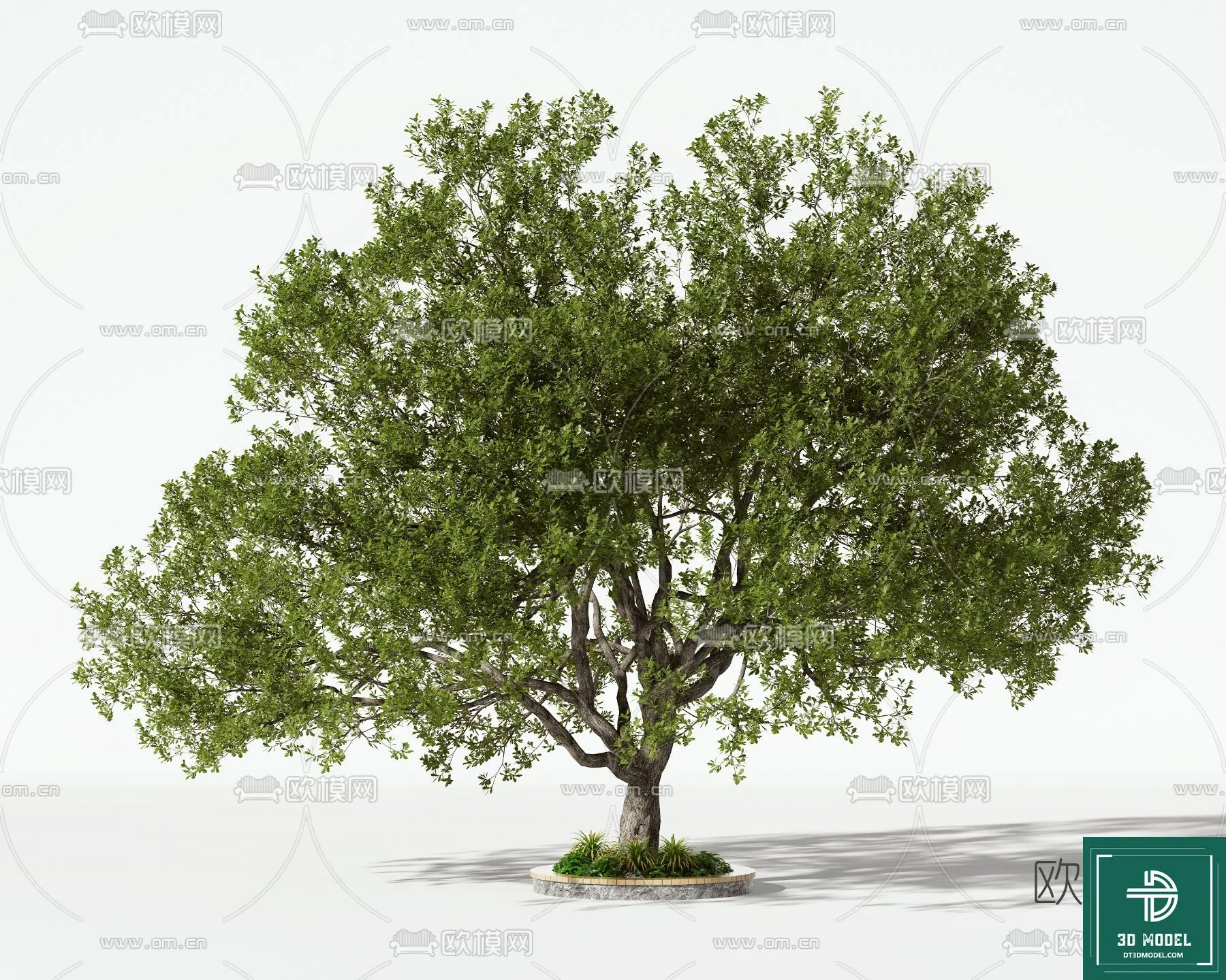 Tree 3D Models - Exterior and Architecture 3DS Max - 032