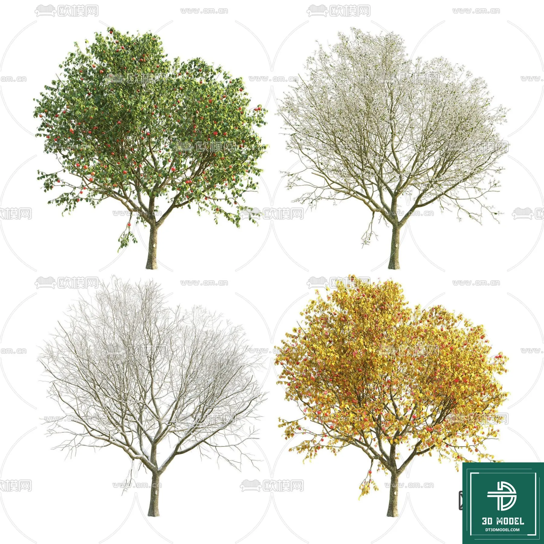 Tree 3D Models - Exterior and Architecture 3DS Max - 044