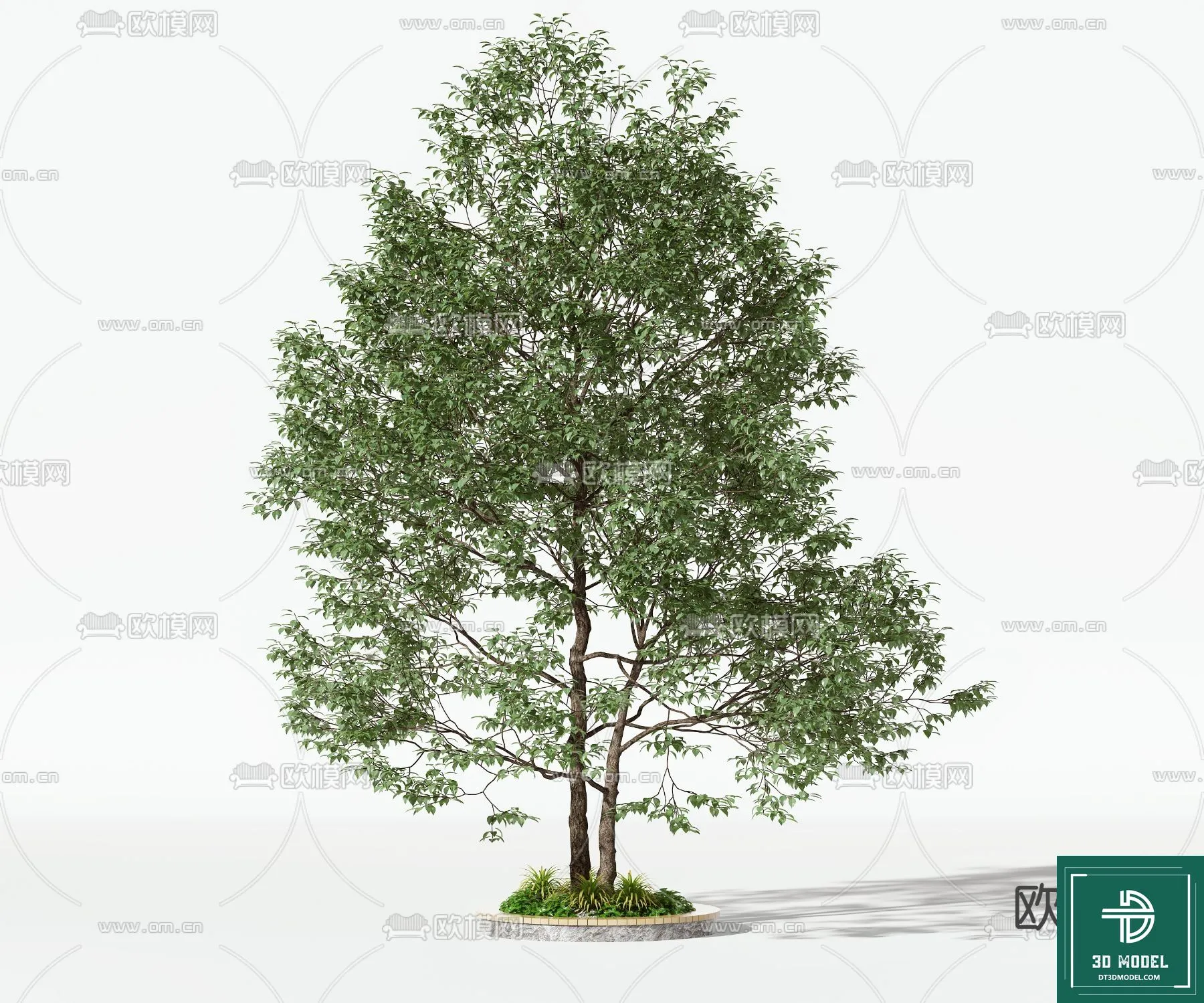 Tree 3D Models - Exterior and Architecture 3DS Max - 065