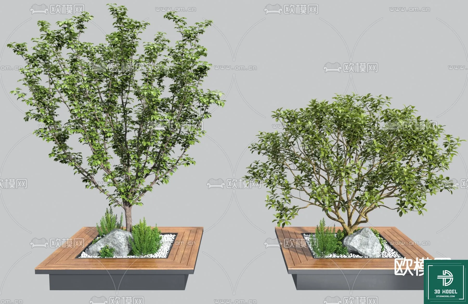 Tree 3D Models - Exterior and Architecture 3DS Max - 079