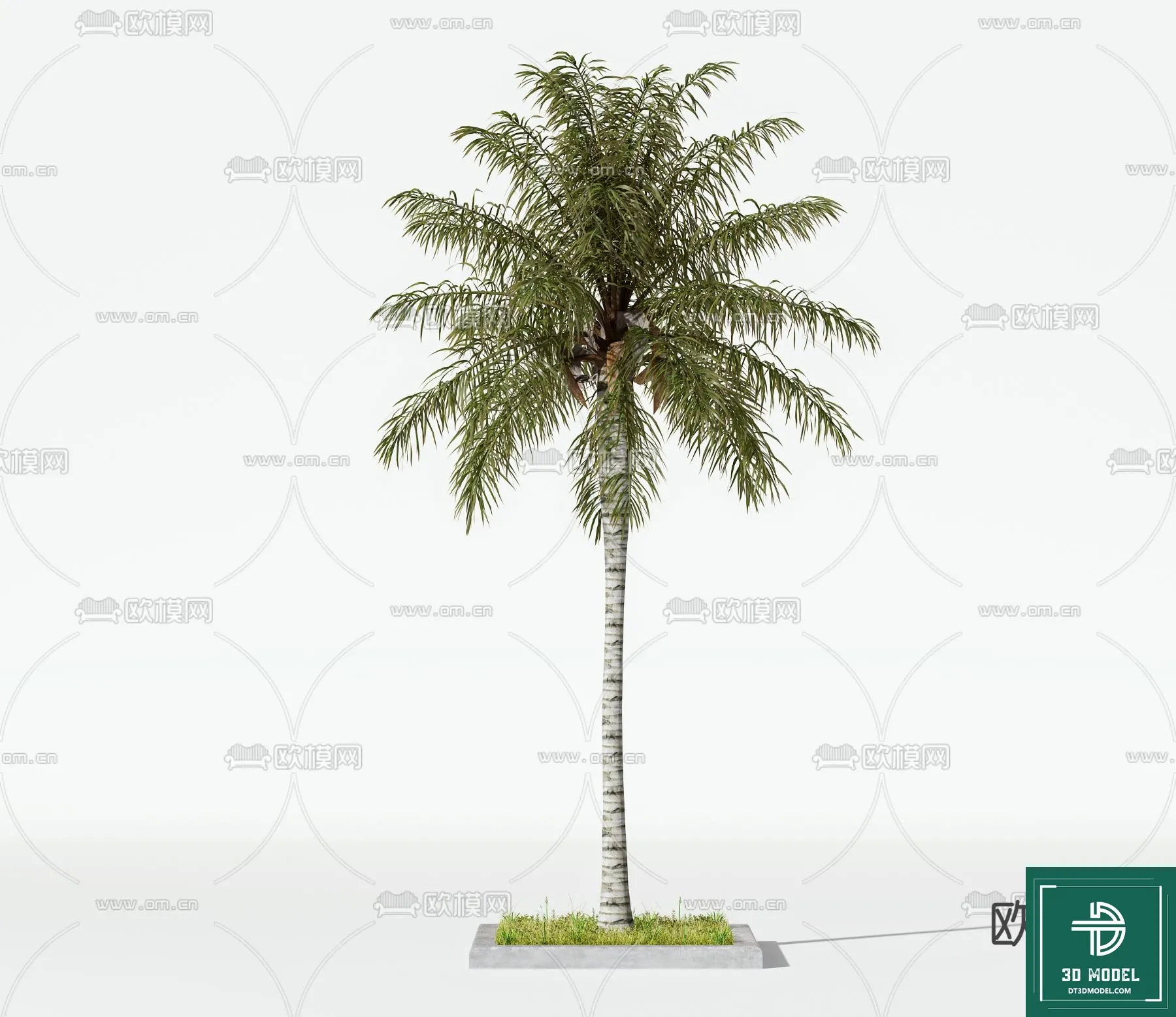 Tree 3D Models - Exterior and Architecture 3DS Max - 080