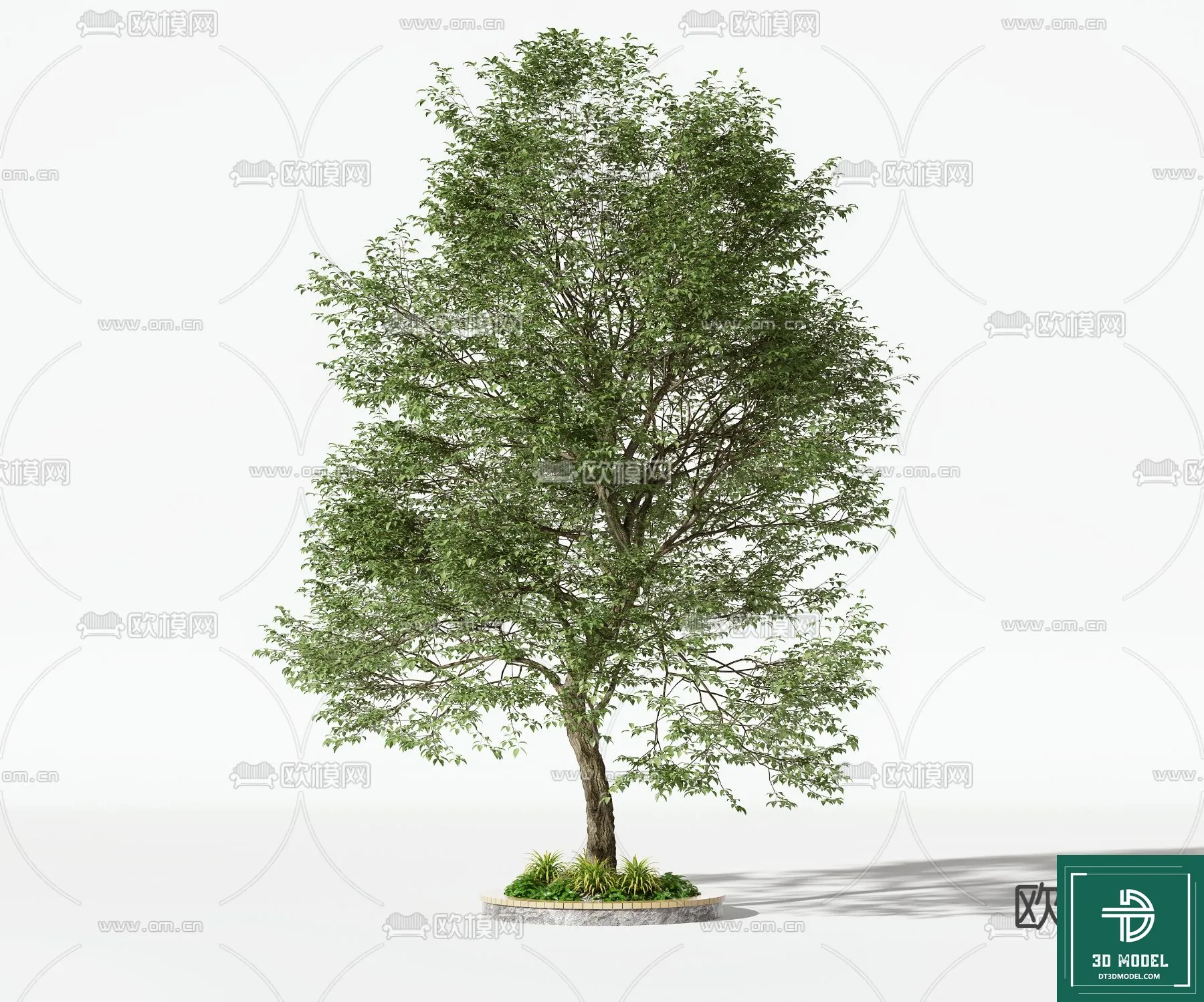 Tree 3D Models - Exterior and Architecture 3DS Max - 087