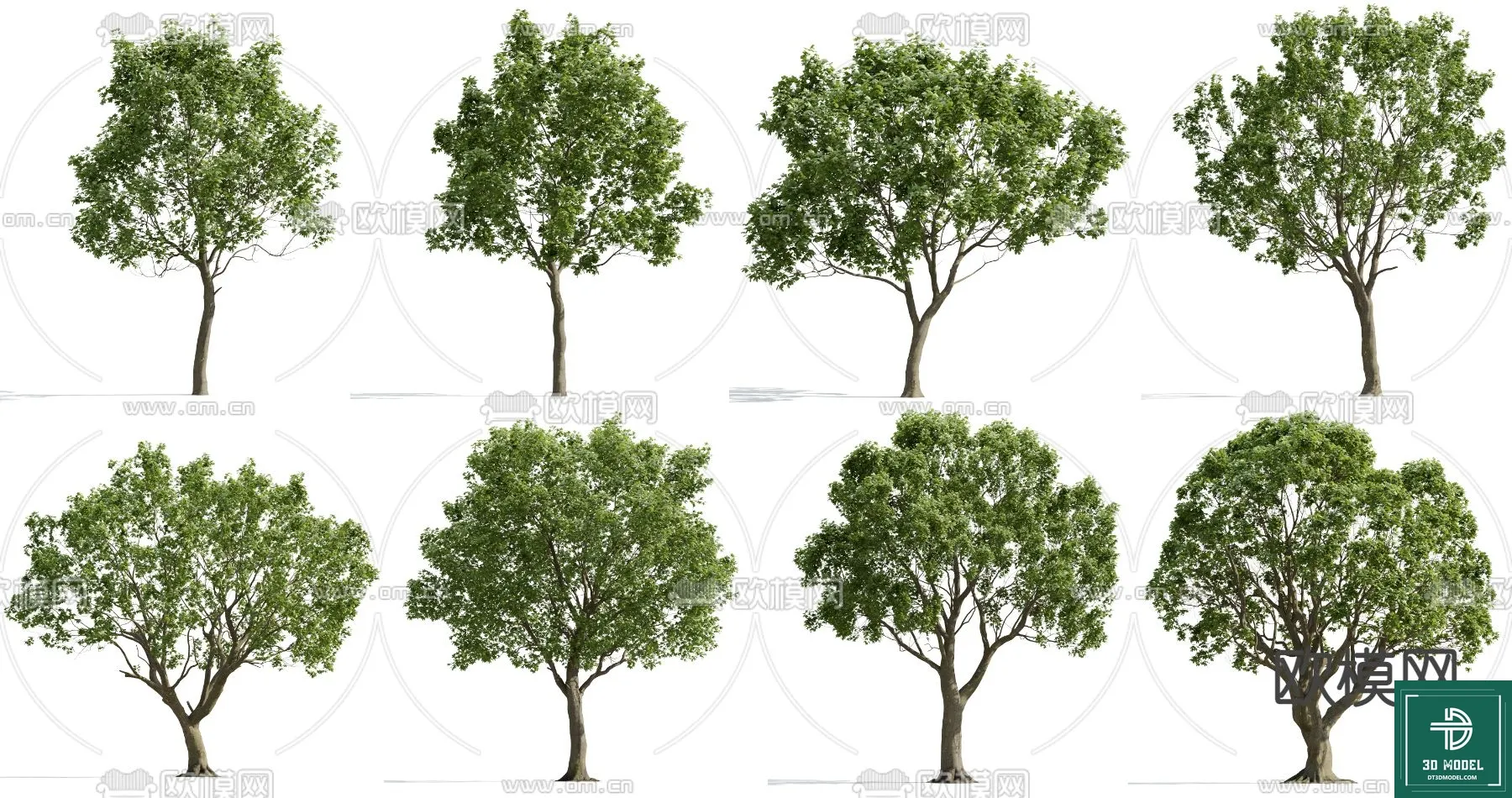 Tree 3D Models - Exterior and Architecture 3DS Max - 093