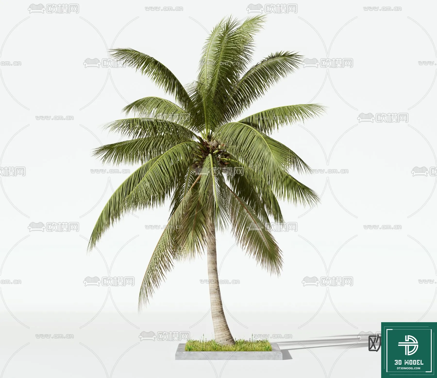 Tree 3D Models - Exterior and Architecture 3DS Max - 100