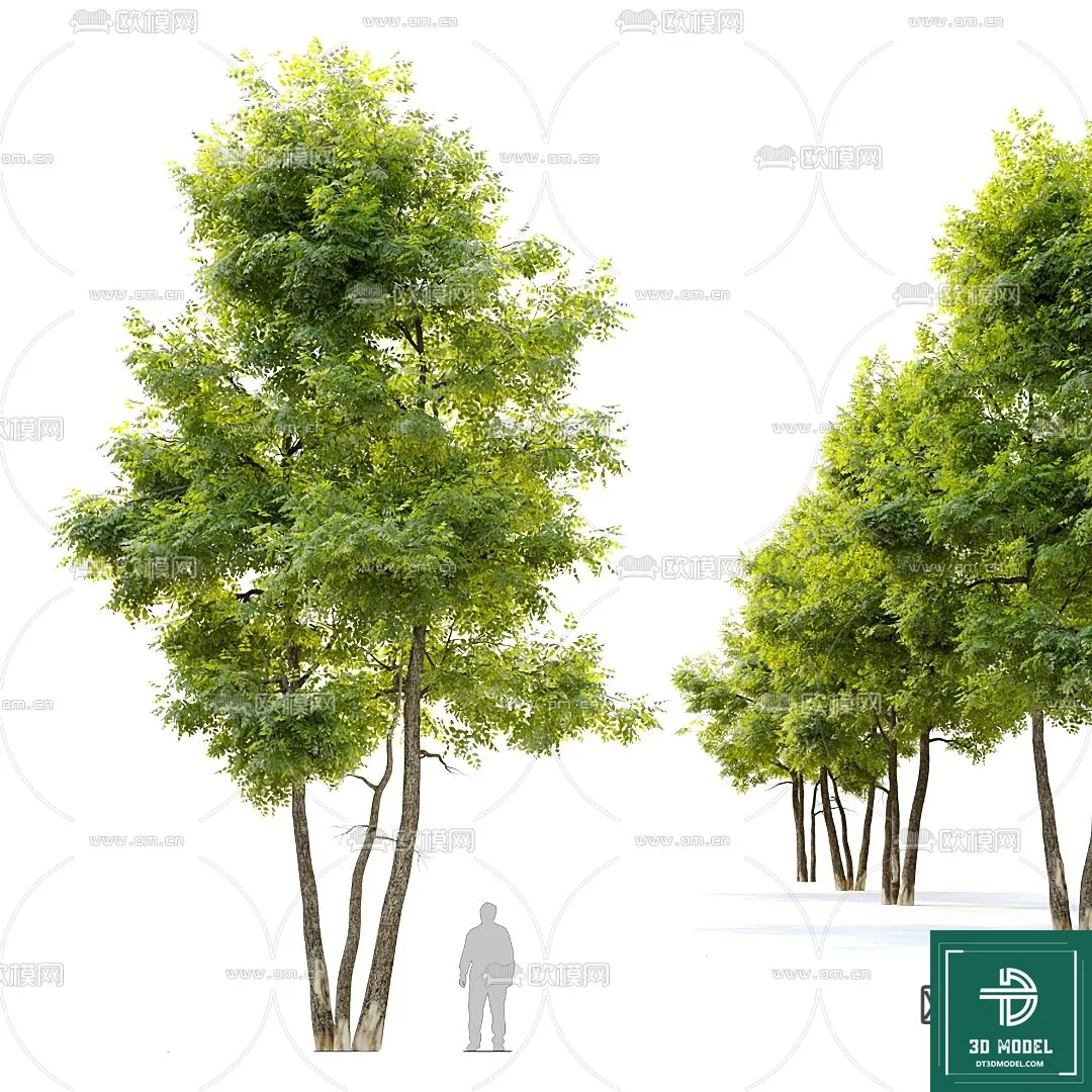 Tree 3D Models - Exterior and Architecture 3DS Max - 102