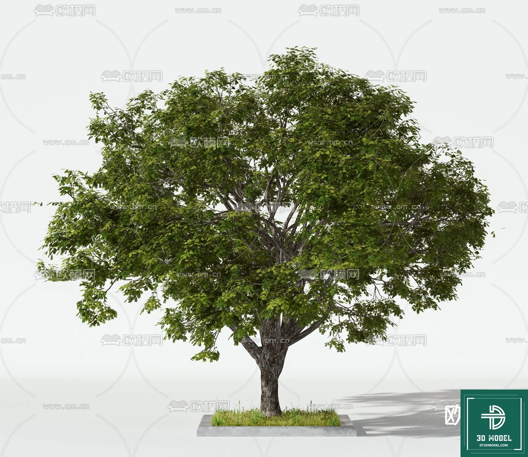 Tree 3D Models - Exterior and Architecture 3DS Max - 103