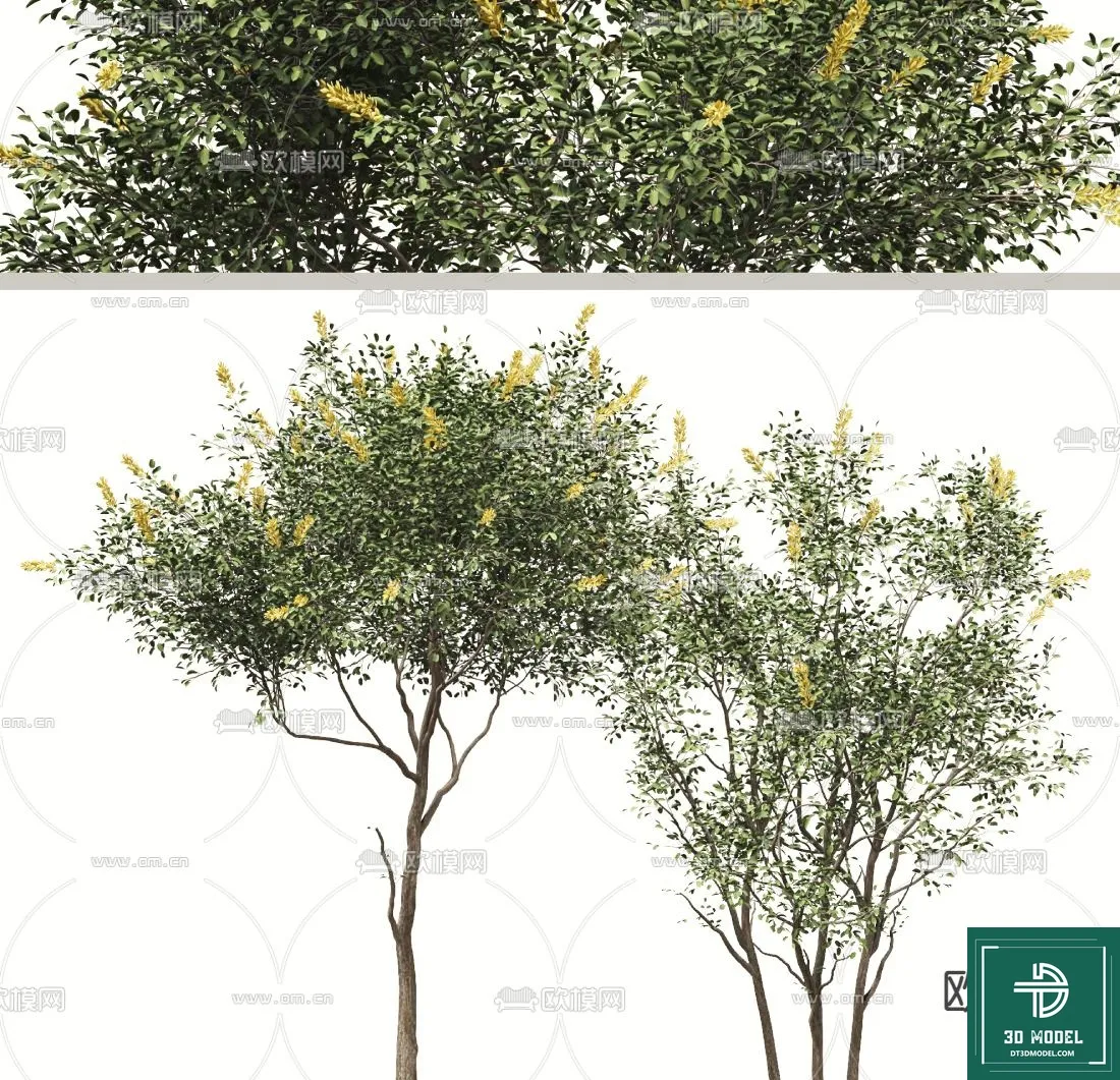 Tree 3D Models - Exterior and Architecture 3DS Max - 109