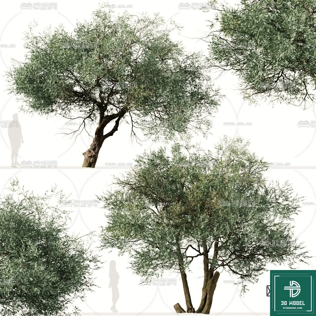 Tree 3D Models - Exterior and Architecture 3DS Max - 110