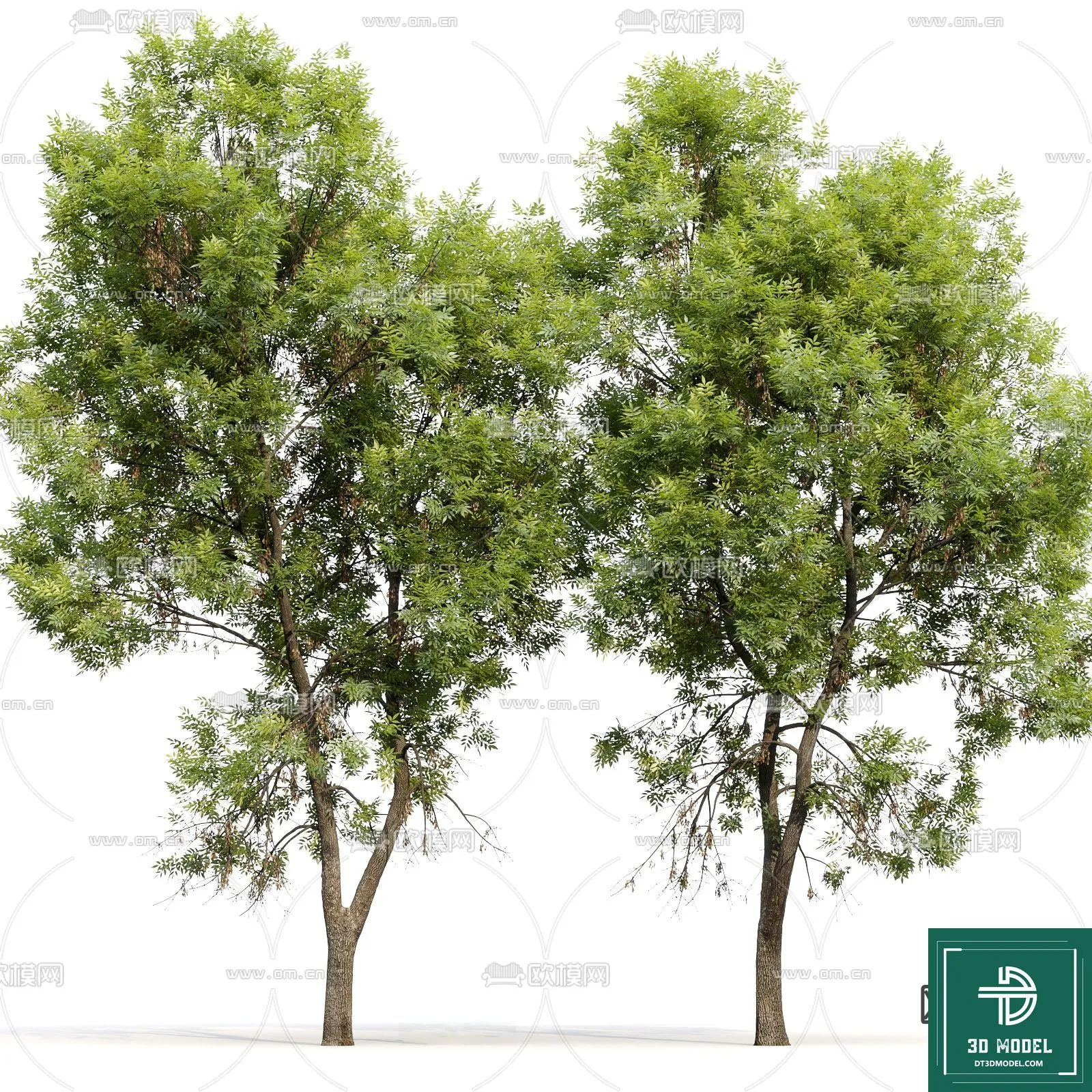 Tree 3D Models - Exterior and Architecture 3DS Max - 118