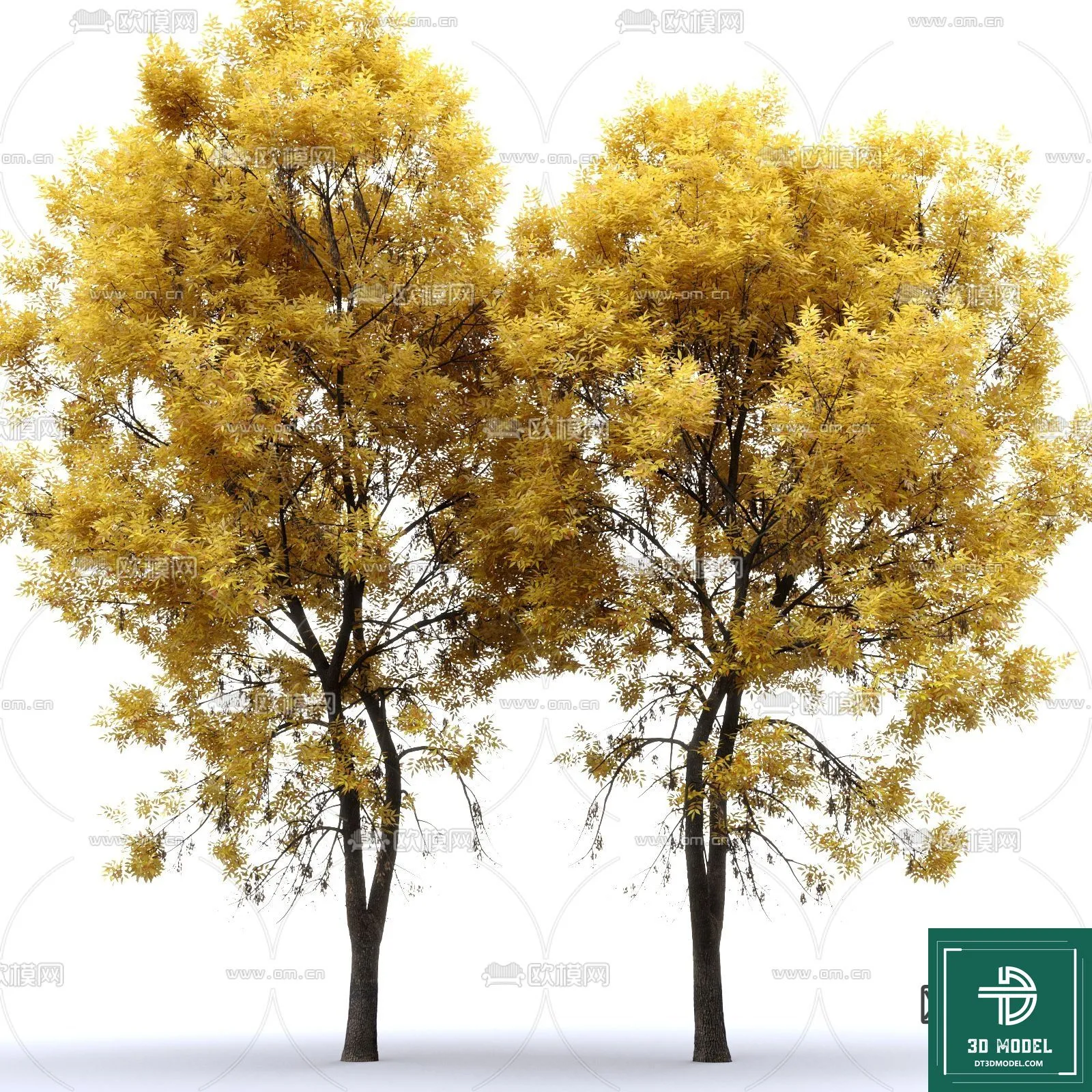 Tree 3D Models - Exterior and Architecture 3DS Max - 119