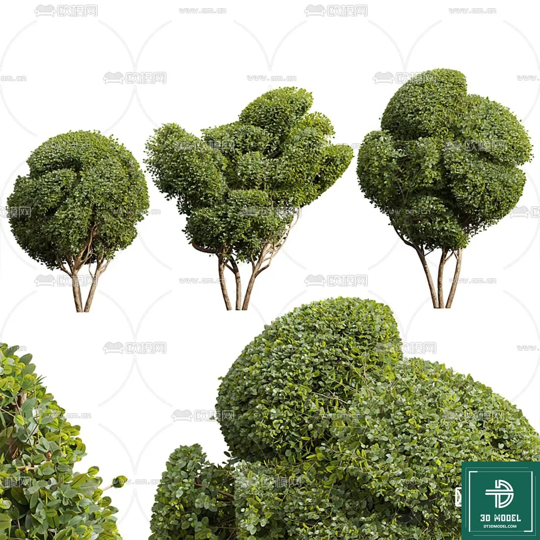 Tree 3D Models - Exterior and Architecture 3DS Max - 120