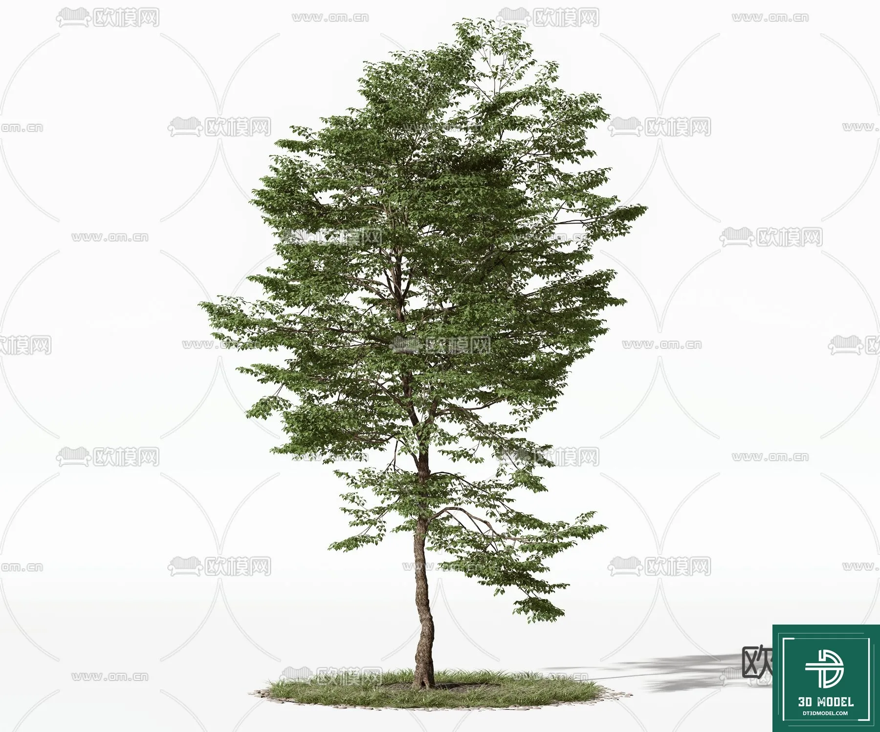 Tree 3D Models - Exterior and Architecture 3DS Max - 127